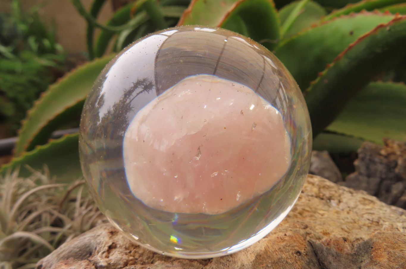 Polished Rose Quartz Free Form in PVC Resin Paperweight Spheres - sold per item - From South Africa - Toprock Gemstones and Minerals 
