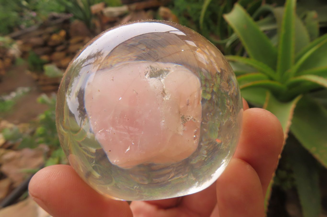 Polished Rose Quartz Free Form in PVC Resin Paperweight Spheres - sold per item - From South Africa - Toprock Gemstones and Minerals 
