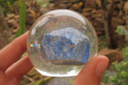 Polished Lapis Lazuli in PVC Resin Paperweight Spheres - sold per item - From Afghanistan - Toprock Gemstones and Minerals 