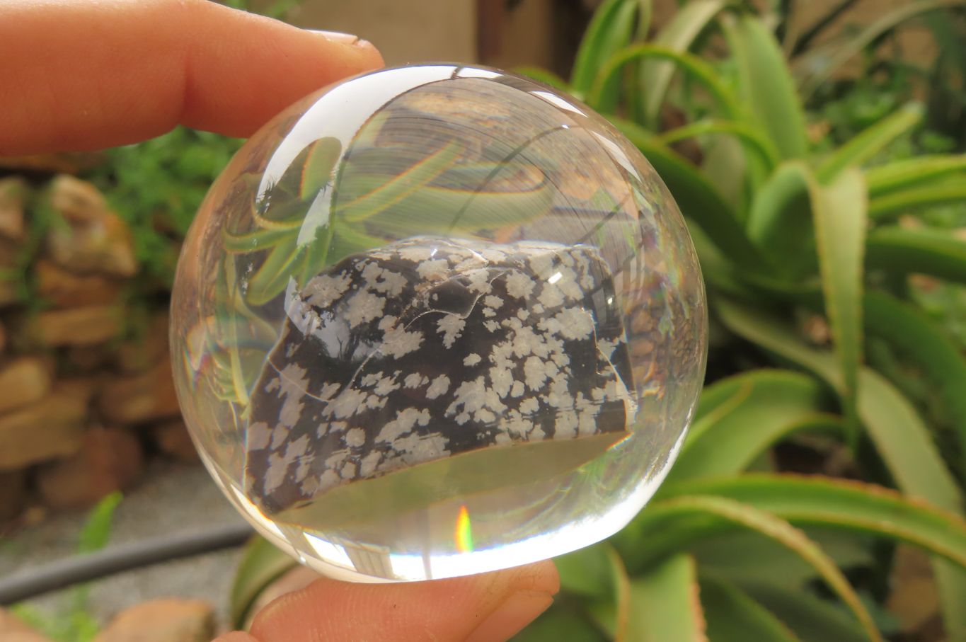 Polished Snowflake Obsidian pieces in PVC Resin Paperweight Spheres - sold per item - From Mexico - Toprock Gemstones and Minerals 