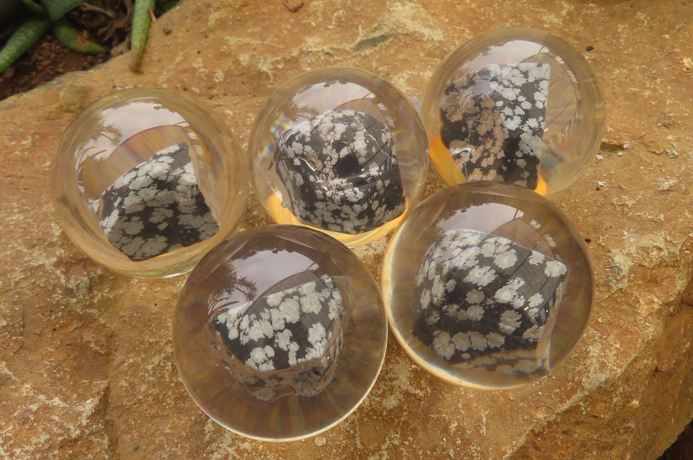 Polished Snowflake Obsidian pieces in PVC Resin Paperweight Spheres - sold per item - From Mexico - Toprock Gemstones and Minerals 