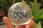 Polished Snowflake Obsidian pieces in PVC Resin Paperweight Spheres - sold per item - From Mexico - Toprock Gemstones and Minerals 