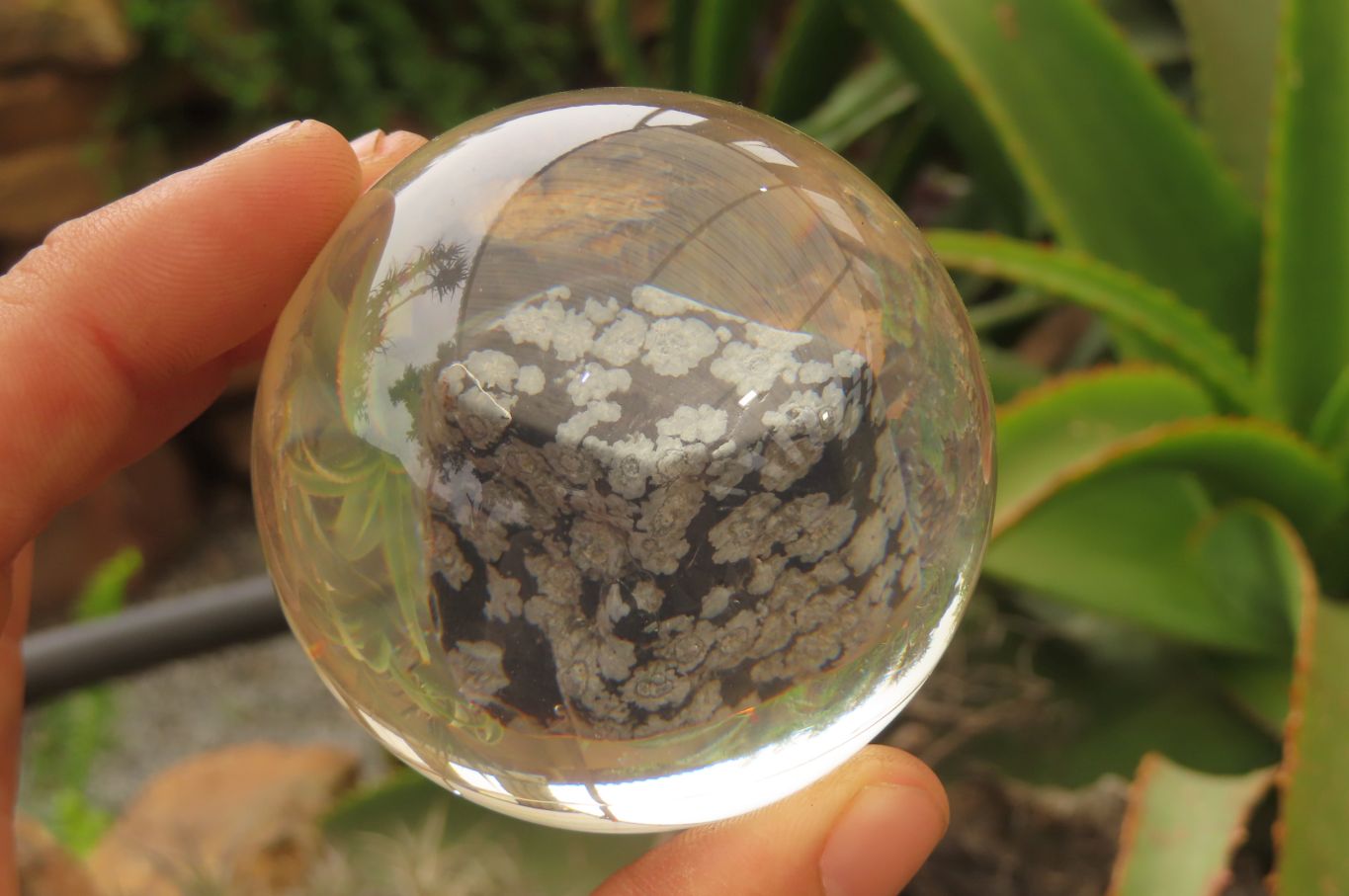 Polished Snowflake Obsidian pieces in PVC Resin Paperweight Spheres - sold per item - From Mexico - Toprock Gemstones and Minerals 