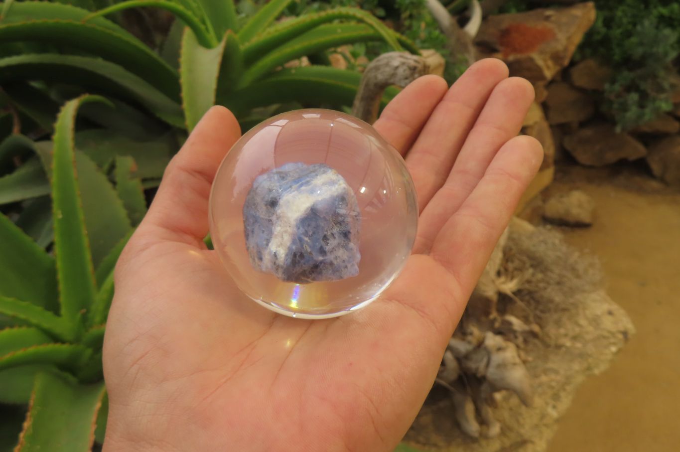 Polished Sodalite cobbed piece in PVC Resin Paperweight Sphere - sold per item - From Namibia - Toprock Gemstones and Minerals 