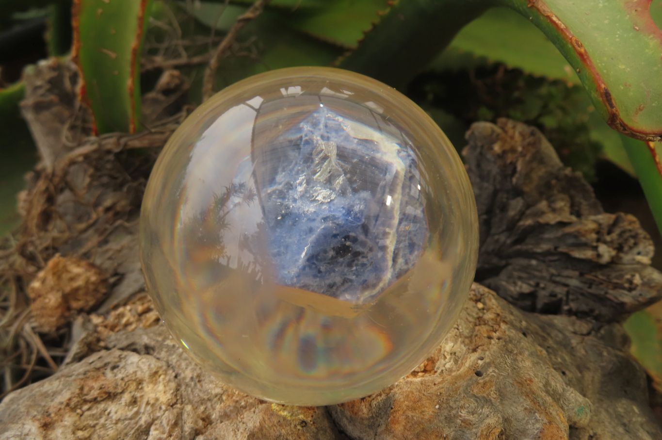 Polished Sodalite cobbed piece in PVC Resin Paperweight Sphere - sold per item - From Namibia - Toprock Gemstones and Minerals 