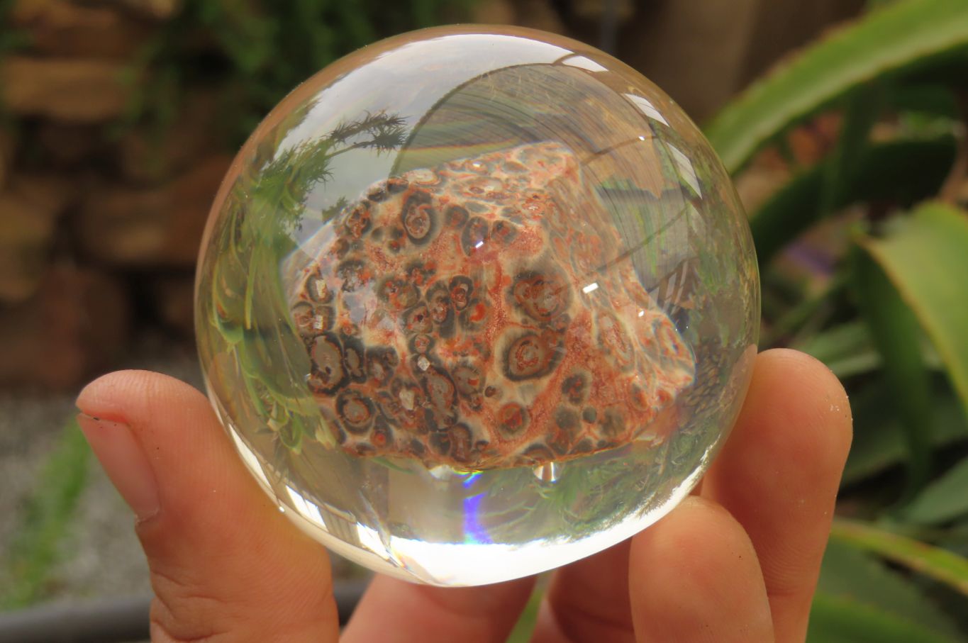 Polished Snakeskin Rhyolite Jasper cobbed piece in PVC Resin Paperweight Sphere - sold per item - From Australia - Toprock Gemstones and Minerals 