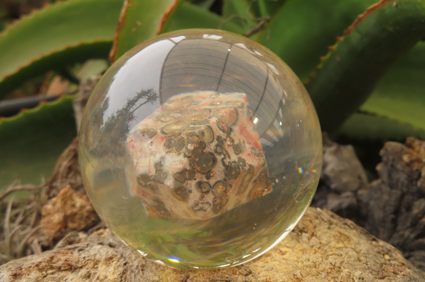 Polished Snakeskin Rhyolite Jasper cobbed piece in PVC Resin Paperweight Sphere - sold per item - From Australia - Toprock Gemstones and Minerals 