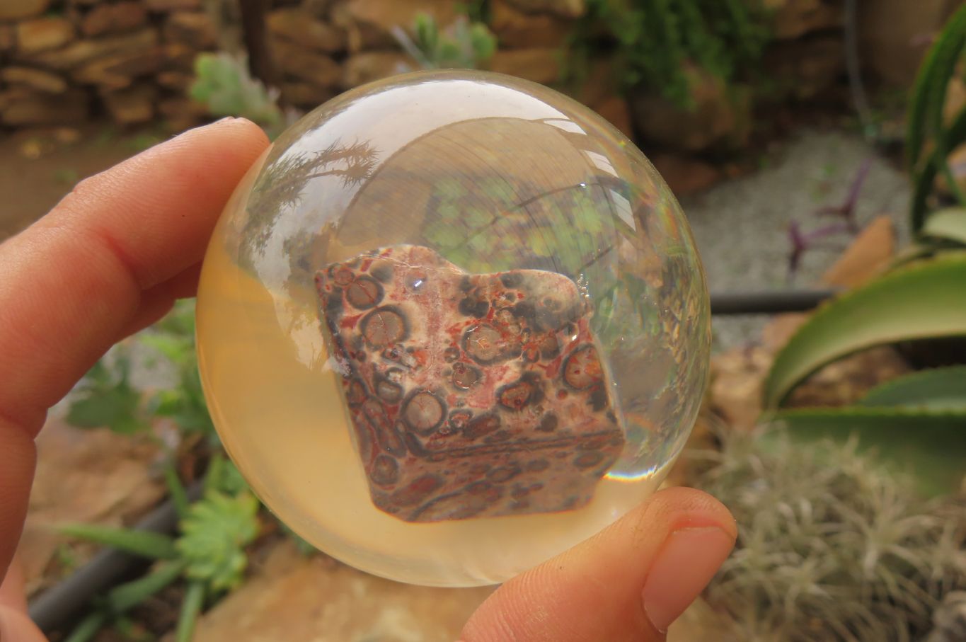 Polished Snakeskin Rhyolite Jasper cobbed piece in PVC Resin Paperweight Sphere - sold per item - From Australia - Toprock Gemstones and Minerals 