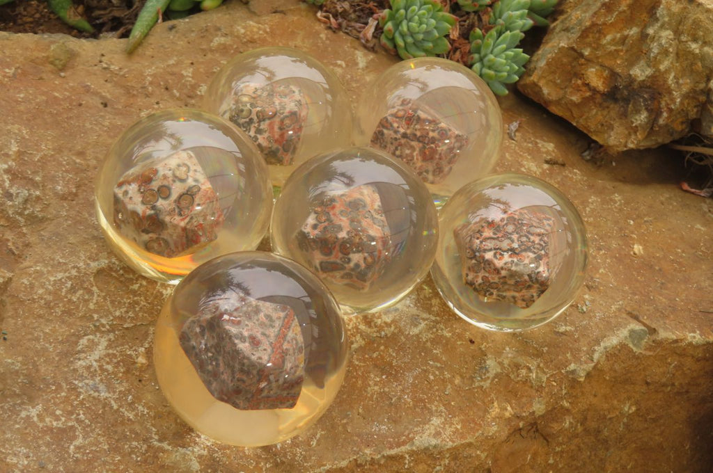 Polished Snakeskin Rhyolite Jasper cobbed piece in PVC Resin Paperweight Sphere - sold per item - From Australia - Toprock Gemstones and Minerals 