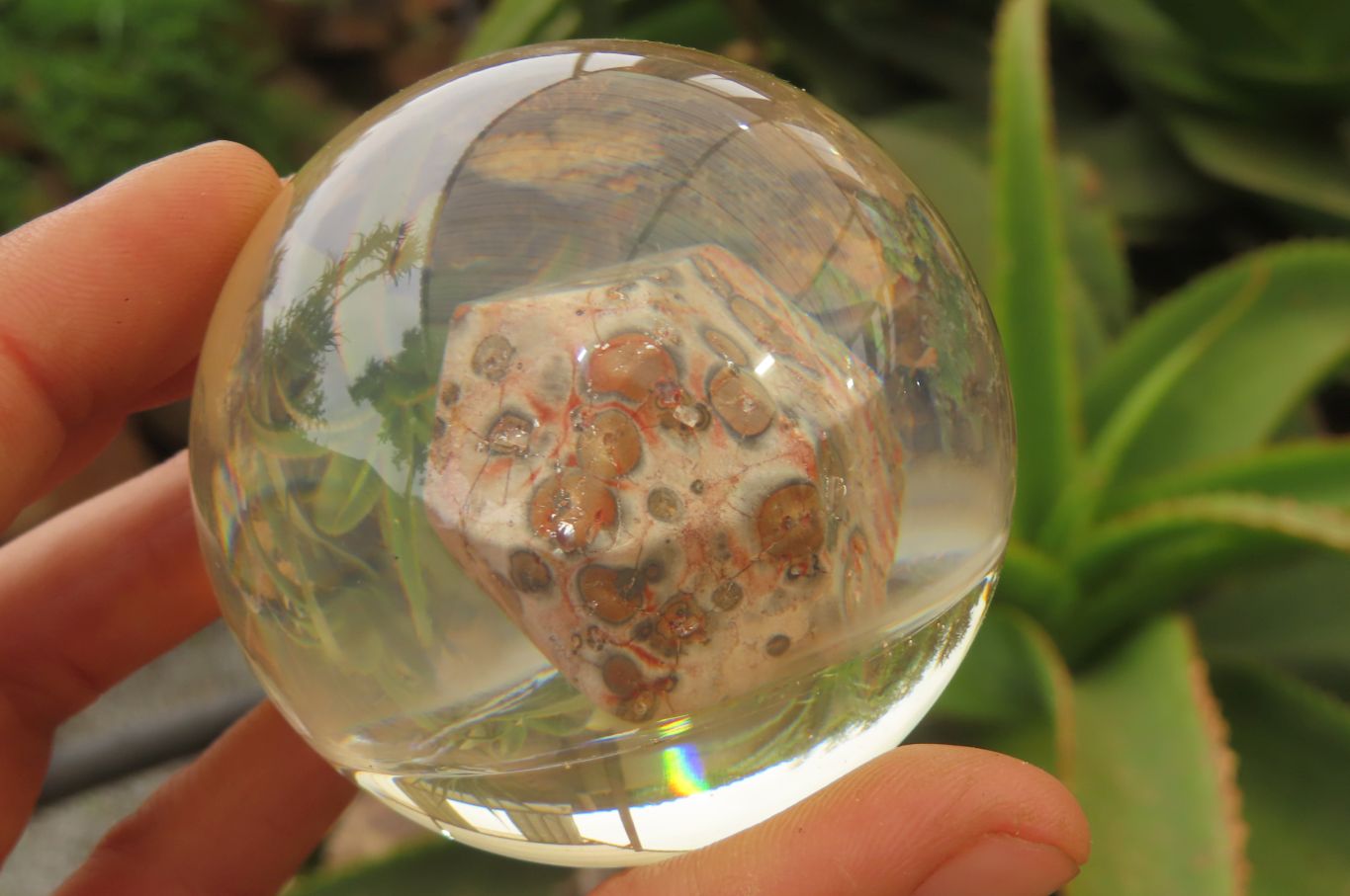 Polished Snakeskin Rhyolite Jasper cobbed piece in PVC Resin Paperweight Sphere - sold per item - From Australia - Toprock Gemstones and Minerals 