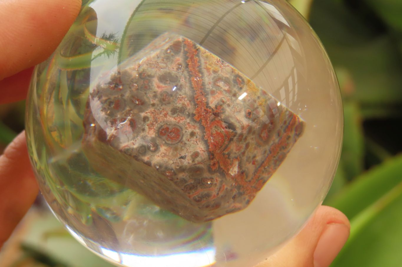 Polished Snakeskin Rhyolite Jasper cobbed piece in PVC Resin Paperweight Sphere - sold per item - From Australia - Toprock Gemstones and Minerals 