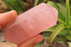 Polished Double Terminated Rose Quartz Points x 12 From Ambatondrazaka, Madagascar - Toprock Gemstones and Minerals 