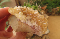 Natural Limonite Quartz Specimens x 28 From Zambia