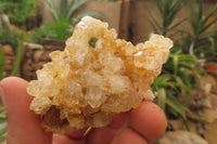 Natural Limonite Quartz Specimens x 28 From Zambia