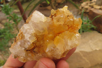 Natural Limonite Quartz Specimens x 28 From Zambia