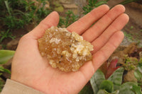 Natural Limonite Quartz Specimens x 28 From Zambia