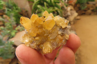 Natural Limonite Quartz Specimens x 28 From Zambia