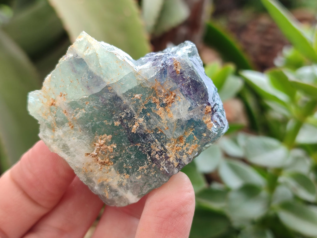 Natural Watermelon Fluorite Cobbed Specimens x 15 From Uis, Namibia - Toprock Gemstones and Minerals 