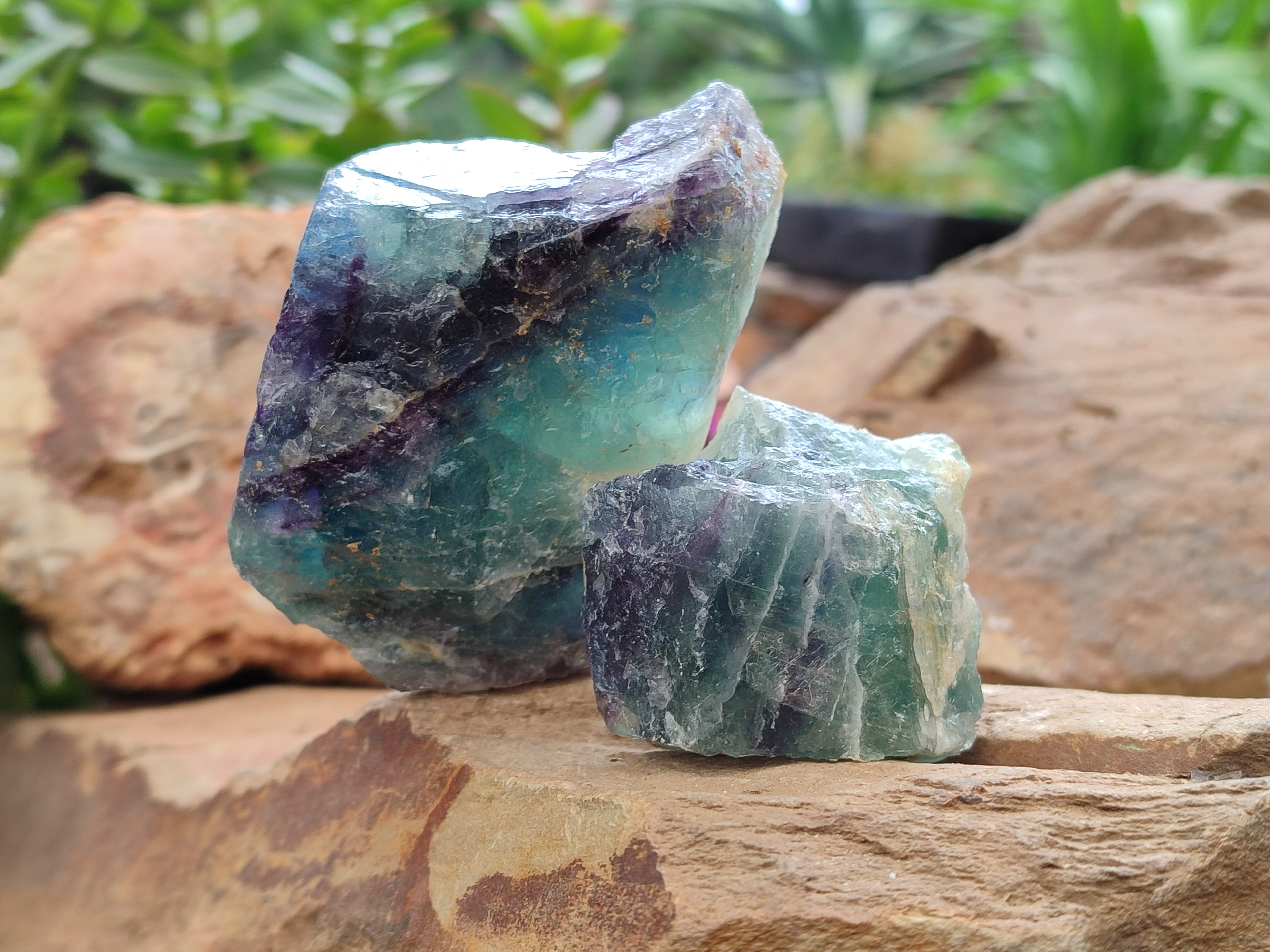 Natural Watermelon Fluorite Cobbed Specimens x 15 From Uis, Namibia - Toprock Gemstones and Minerals 