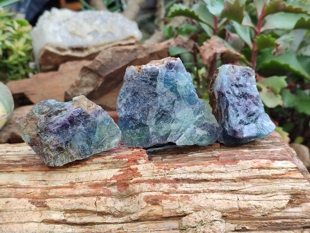 Natural Watermelon Fluorite Cobbed Specimens x 15 From Uis, Namibia - Toprock Gemstones and Minerals 
