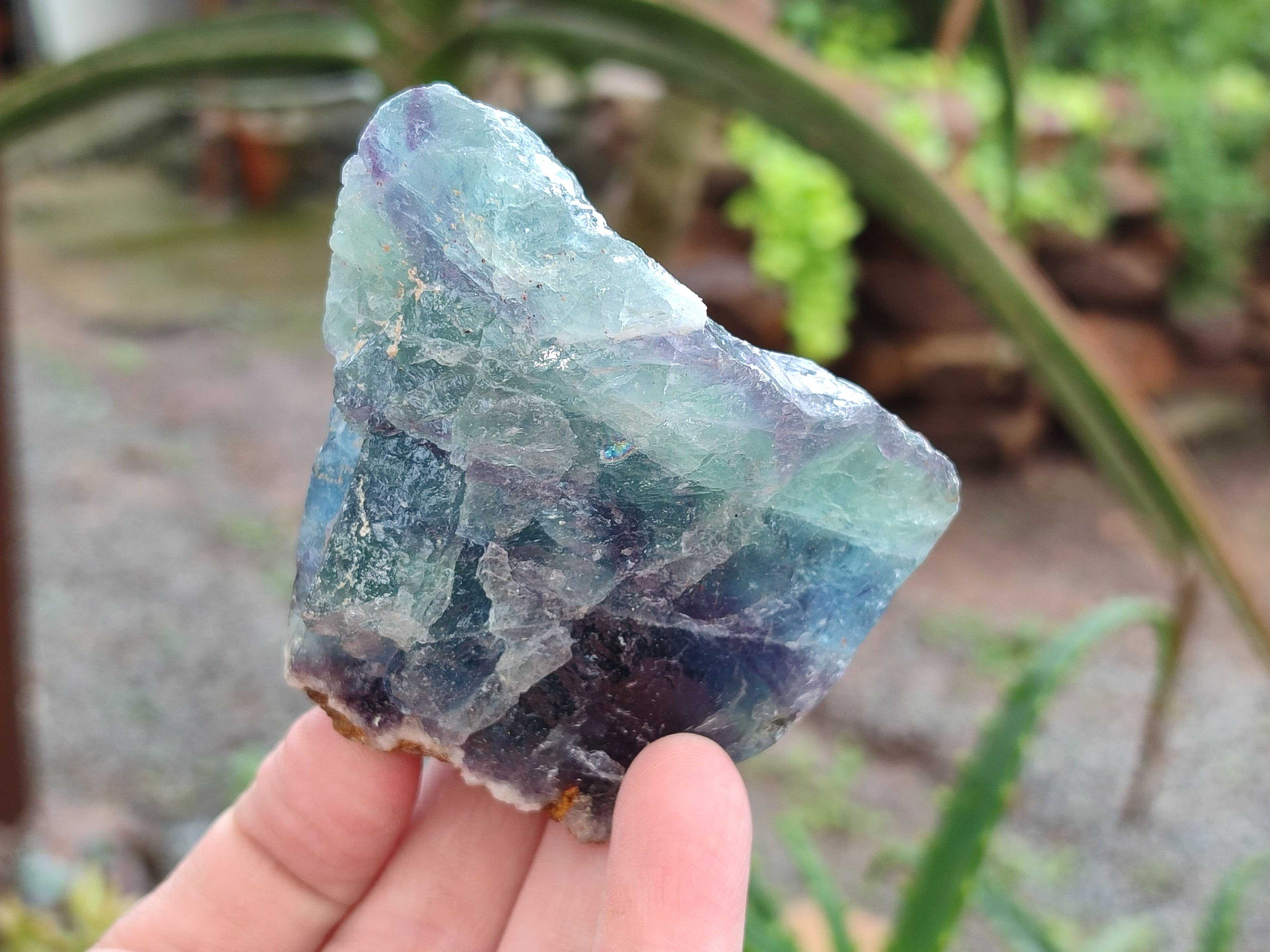 Natural Watermelon Fluorite Cobbed Specimens x 15 From Uis, Namibia - Toprock Gemstones and Minerals 
