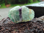 Natural Watermelon Fluorite Cobbed Specimens x 15 From Uis, Namibia - Toprock Gemstones and Minerals 