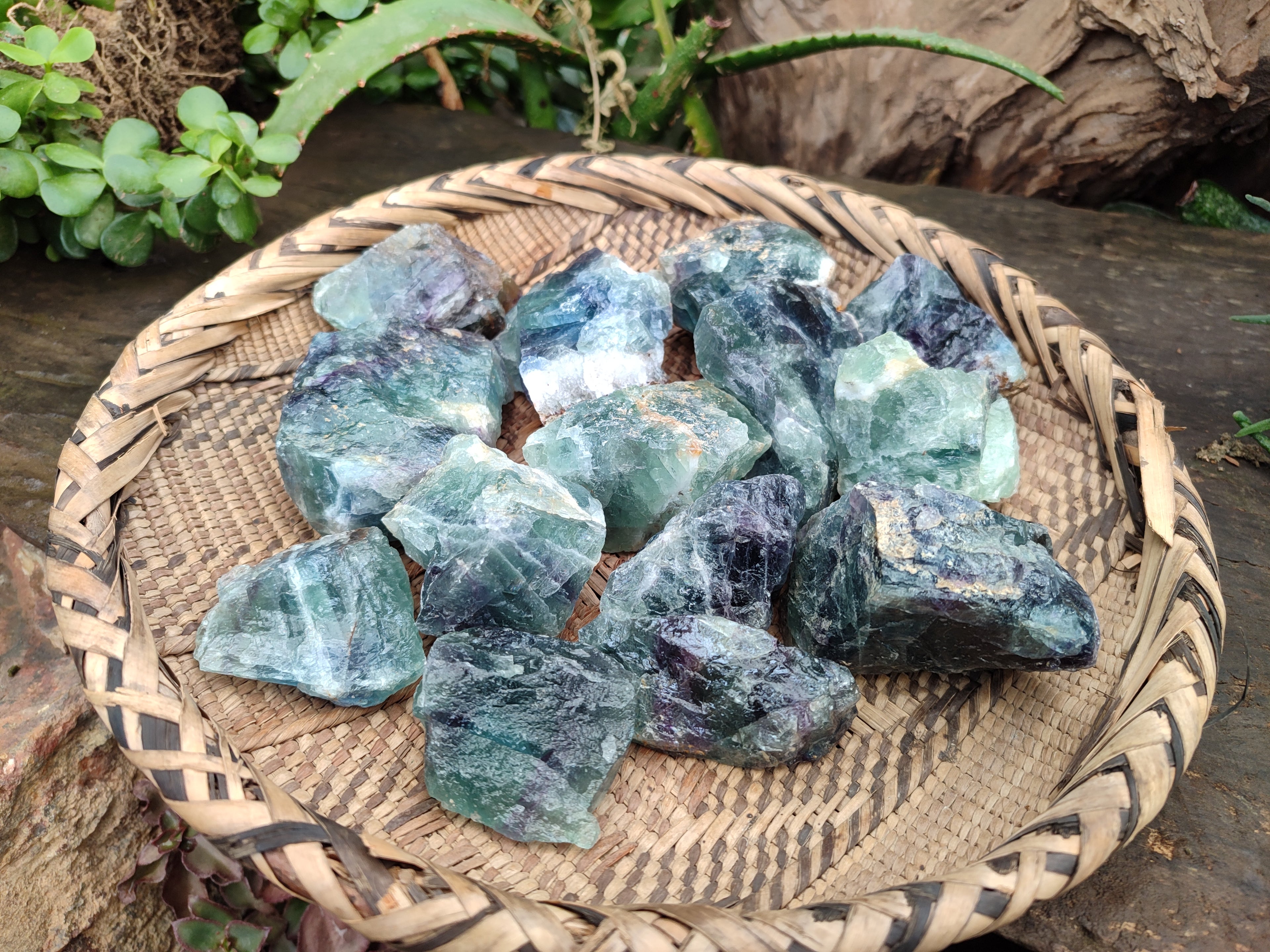 Natural Watermelon Fluorite Cobbed Specimens x 15 From Uis, Namibia - Toprock Gemstones and Minerals 