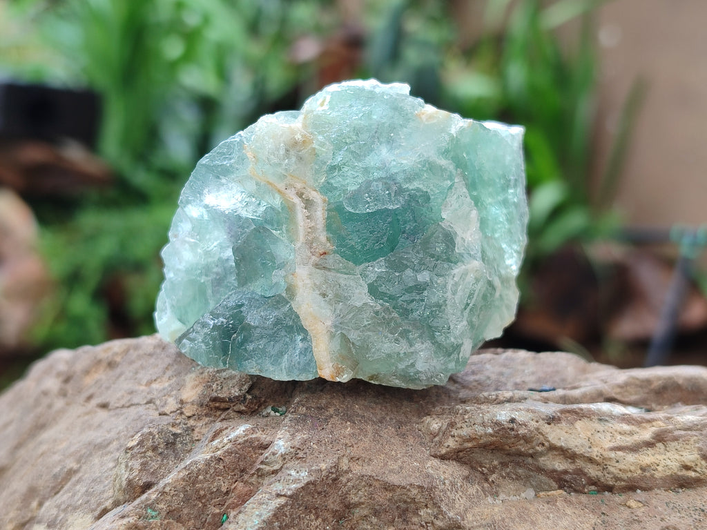 Natural Watermelon Fluorite Cobbed Specimens x 15 From Uis, Namibia - Toprock Gemstones and Minerals 