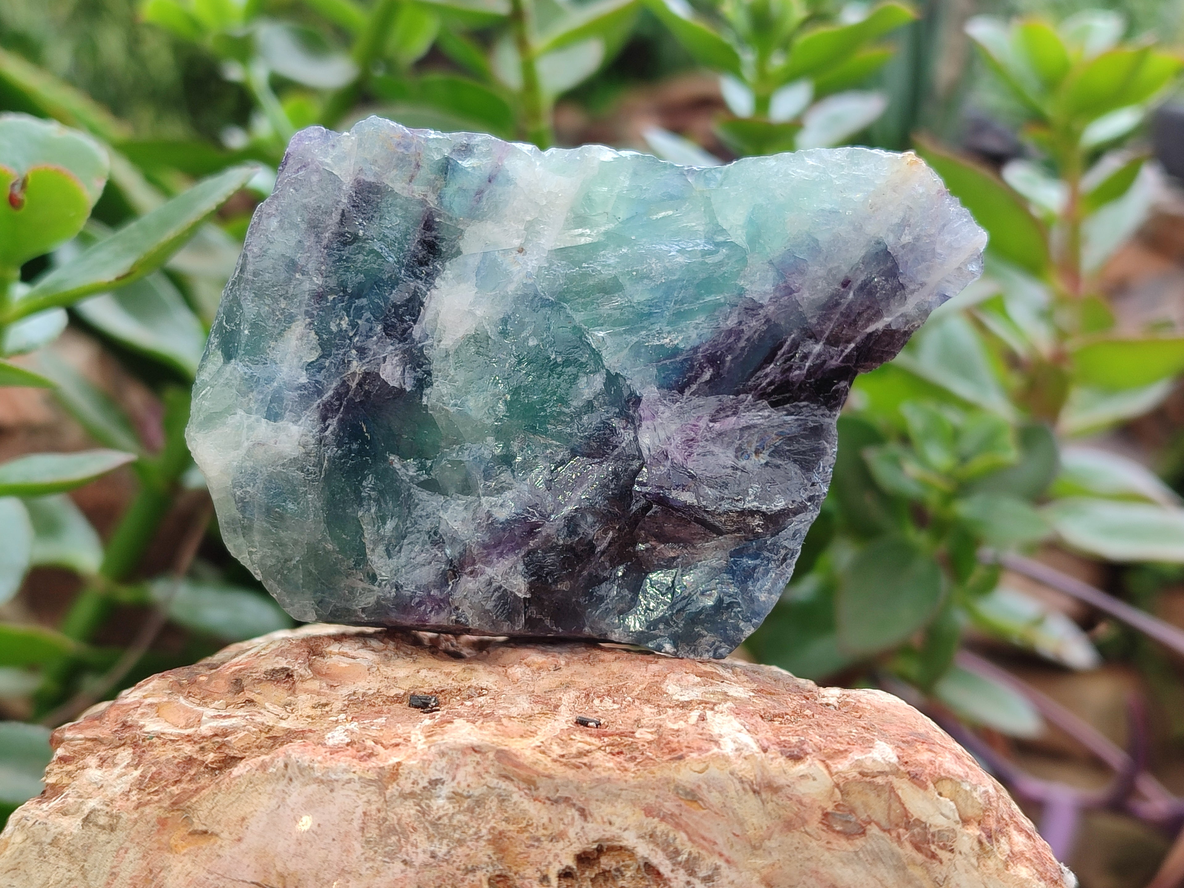 Natural Watermelon Fluorite Cobbed Specimens x 15 From Uis, Namibia - Toprock Gemstones and Minerals 
