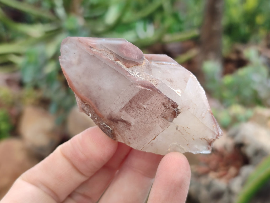 Natural Red Hematoid Quartz Crystals x 12 From Karoi, Zimbabwe - Toprock Gemstones and Minerals 