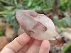 Natural Red Hematoid Quartz Crystals x 12 From Karoi, Zimbabwe - Toprock Gemstones and Minerals 
