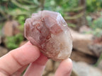 Natural Red Hematoid Quartz Crystals x 12 From Karoi, Zimbabwe - Toprock Gemstones and Minerals 