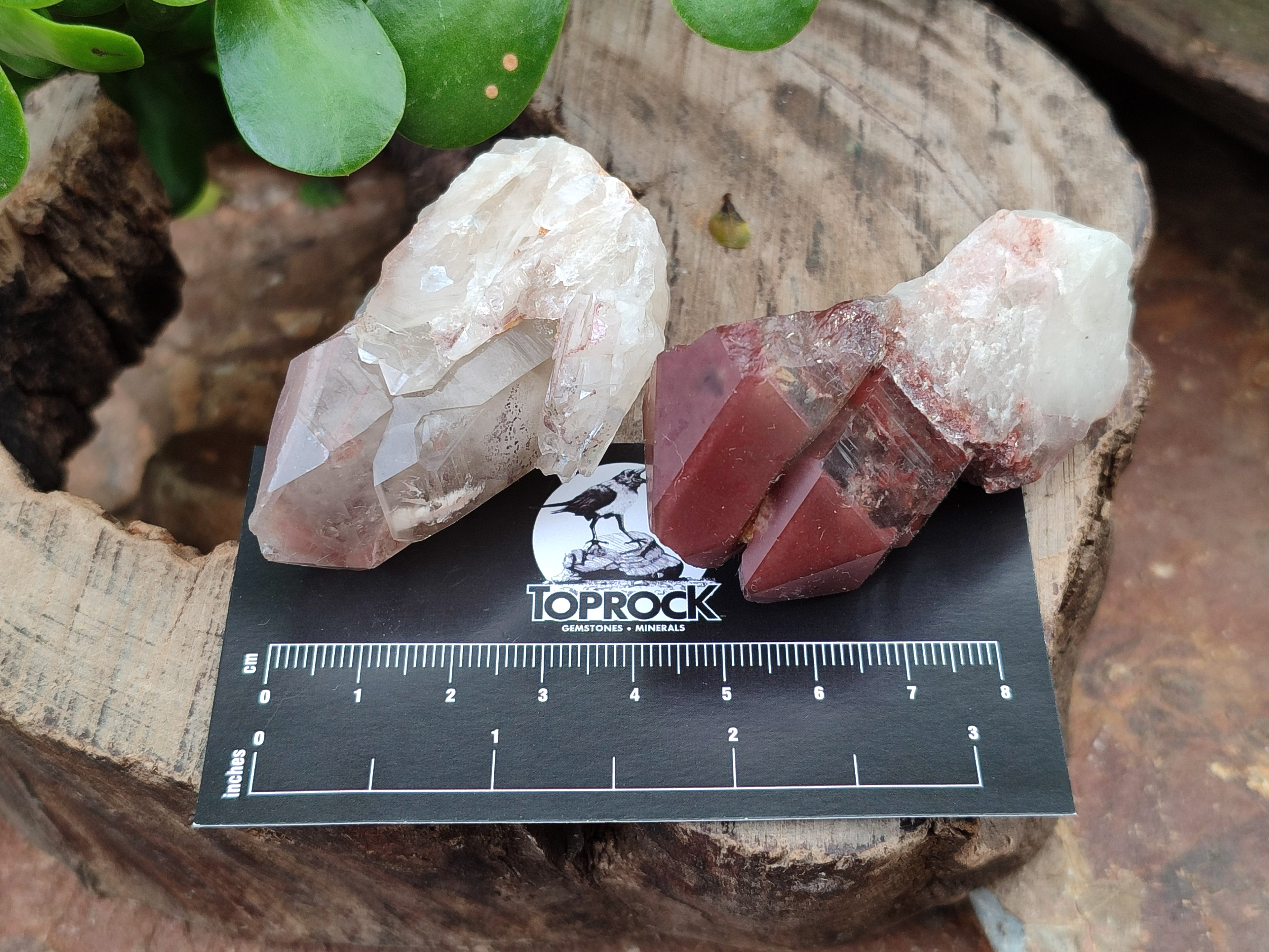 Natural Red Hematoid Quartz Crystals x 12 From Karoi, Zimbabwe - Toprock Gemstones and Minerals 