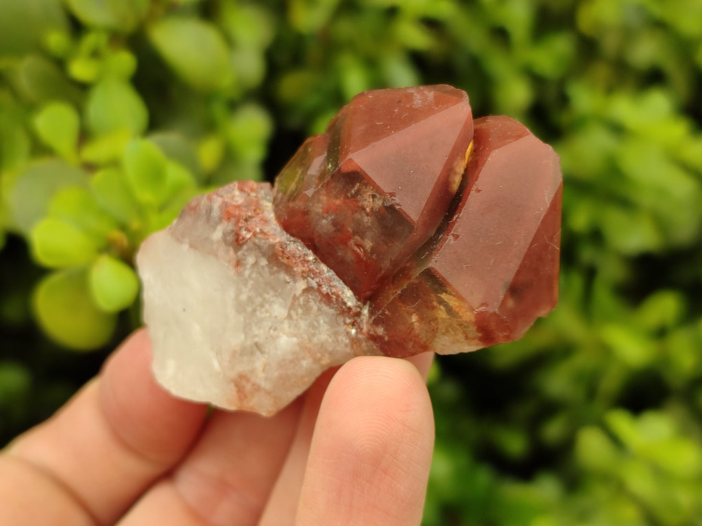 Natural Red Hematoid Quartz Crystals x 12 From Karoi, Zimbabwe - Toprock Gemstones and Minerals 