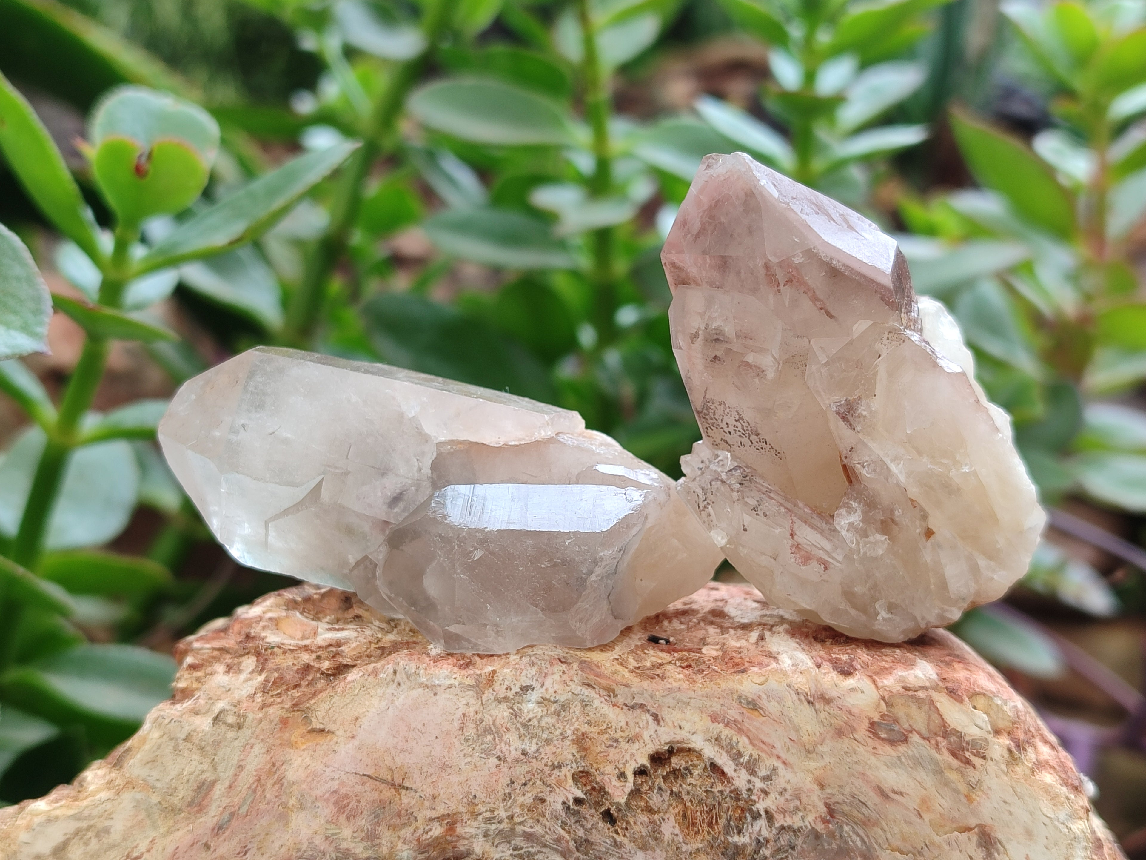 Natural Red Hematoid Quartz Crystals x 12 From Karoi, Zimbabwe - Toprock Gemstones and Minerals 