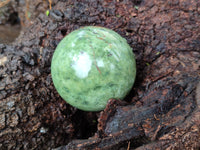 Polished Chrysoprase Spheres x 5 From Madagascar - Toprock Gemstones and Minerals 
