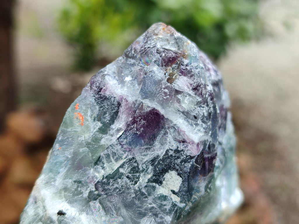 Natural Watermelon Fluorite Cobbed Specimens x 5 From Uis, Namibia - Toprock Gemstones and Minerals 