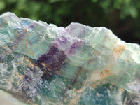 Natural Watermelon Fluorite Cobbed Specimens x 5 From Uis, Namibia - Toprock Gemstones and Minerals 