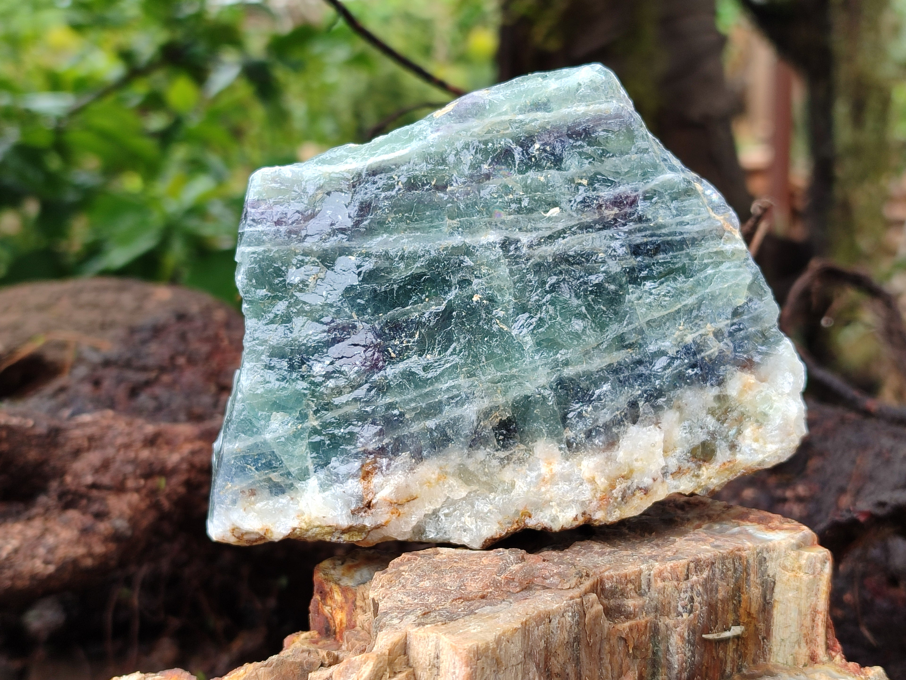 Natural Watermelon Fluorite Cobbed Specimens x 5 From Uis, Namibia - Toprock Gemstones and Minerals 