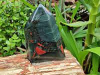Polished Bloodstone Points x 3 From Swaziland - Toprock Gemstones and Minerals 