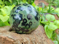 Polished Stromatolite Spheres x 4 From Madagascar