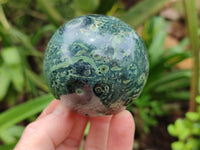 Polished Stromatolite Spheres x 4 From Madagascar