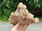 Natural Smokey Phantom Quartz Cluster x 1 From Luena, Congo - Toprock Gemstones and Minerals 