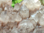 Natural Smokey Phantom Quartz Cluster x 1 From Luena, Congo - Toprock Gemstones and Minerals 