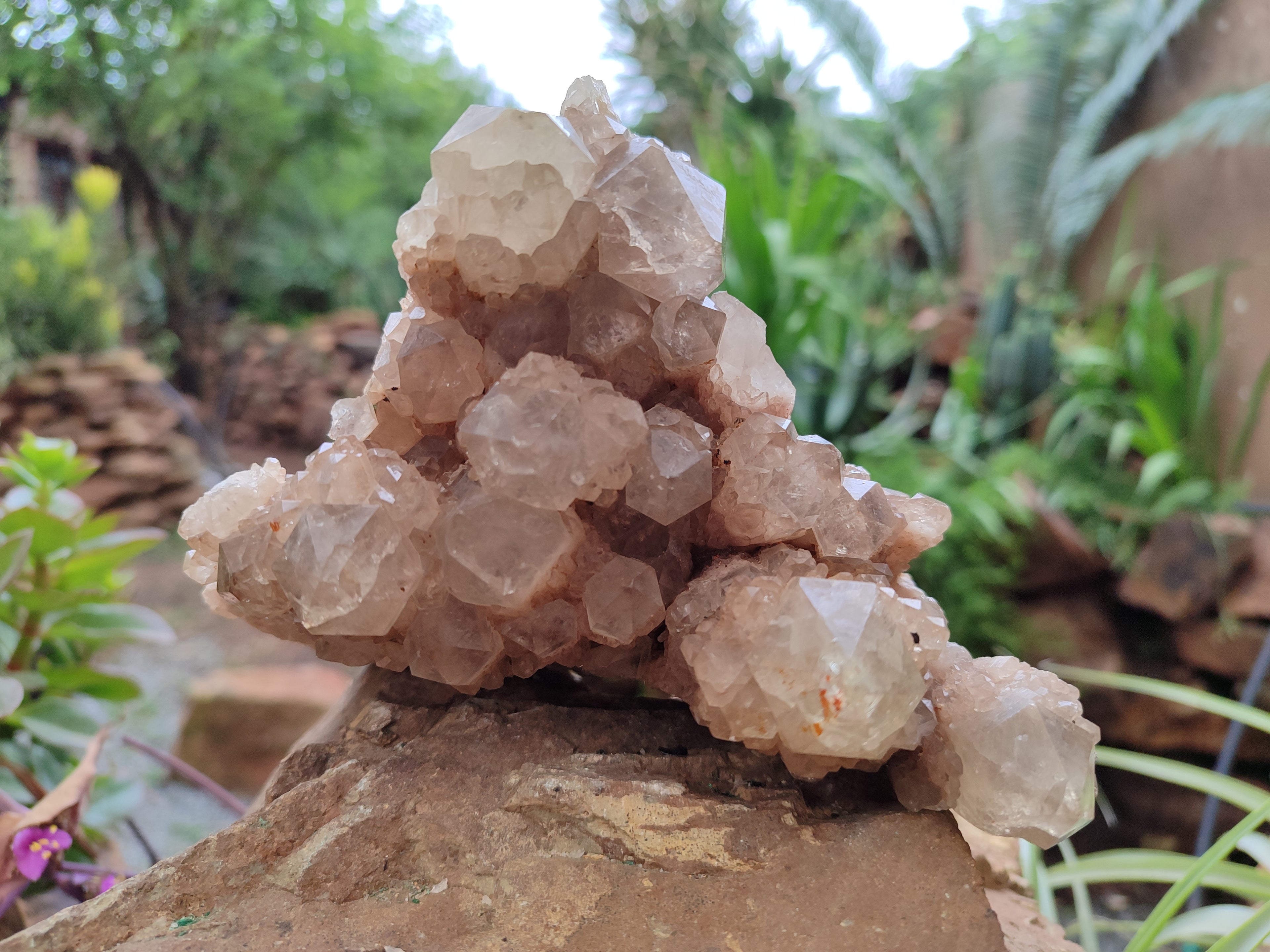 Natural Smokey Phantom Quartz Cluster x 1 From Luena, Congo - Toprock Gemstones and Minerals 
