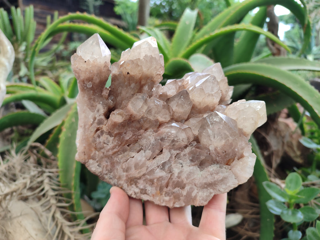 Natural Smokey Phantom Quartz Cluster x 1 From Luena, Congo - Toprock Gemstones and Minerals 