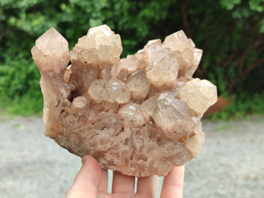 Natural Smokey Phantom Quartz Cluster x 1 From Luena, Congo - Toprock Gemstones and Minerals 