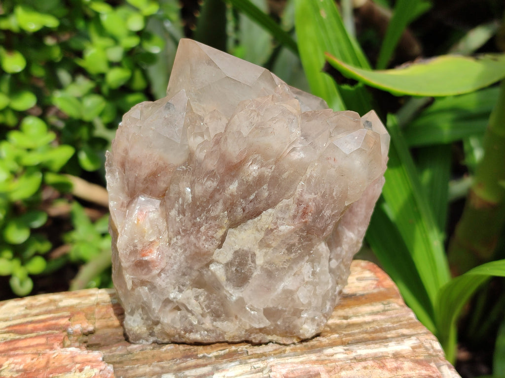 Natural Smokey Phantom Quartz Clusters x 2 From Luena, Congo - Toprock Gemstones and Minerals 