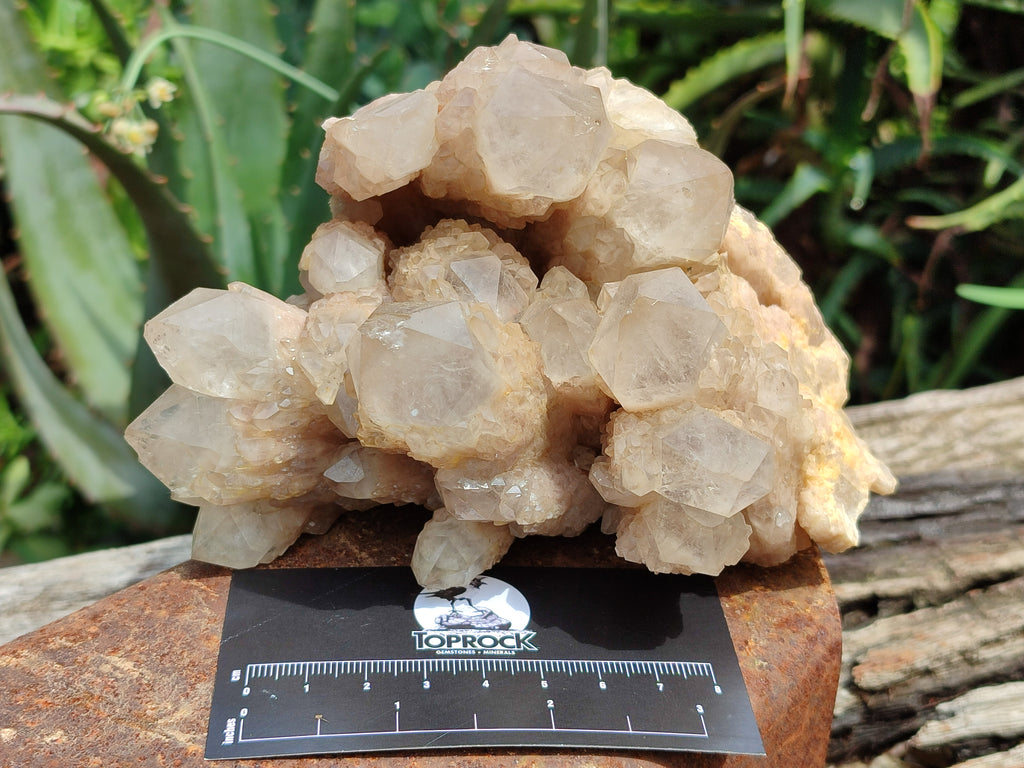 Natural Smokey Phantom Quartz Clusters x 2 From Luena, Congo - Toprock Gemstones and Minerals 