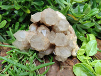 Natural Smokey Phantom Quartz Clusters x 2 From Luena, Congo - Toprock Gemstones and Minerals 